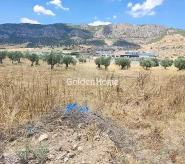 Professional Plot 9000m<sup>2</sup> for sale photo 4928661