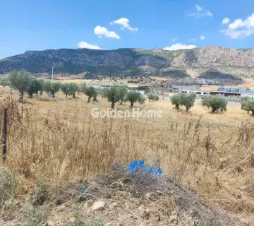Professional Plot 9000m<sup>2</sup> for sale photo 4928662