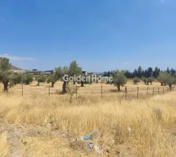 Professional Plot 9000m<sup>2</sup> for sale photo 4928664