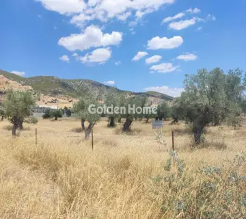 Professional Plot 9000m<sup>2</sup> for sale photo 4928665
