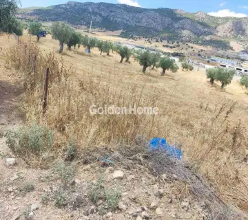 Professional Plot 9000m<sup>2</sup> for sale photo 4928666