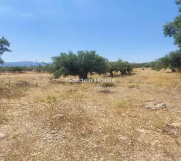 Professional Plot 9000m<sup>2</sup> for sale photo 4928670
