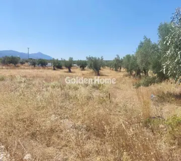 Professional Plot 9000m<sup>2</sup> for sale photo 4928672