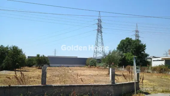 Αγροτεμάχιο 4500τ.μ. προς πώληση φωτογραφία 14