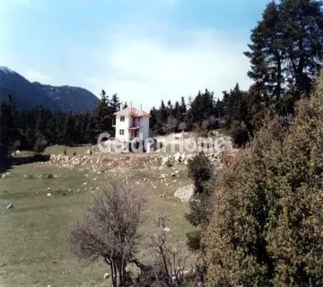 Golden Home Property Image