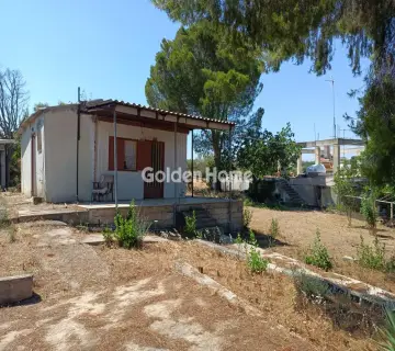 Residential 504m<sup>2</sup> for sale photo 3