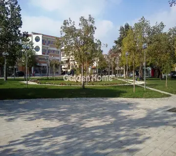 Golden Home Property Image