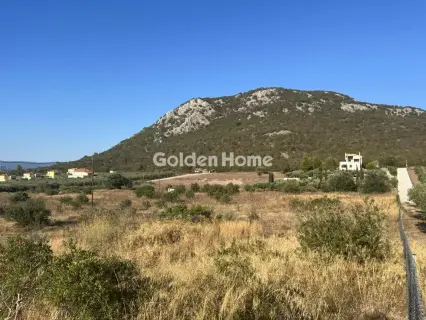 Residential 14260m<sup>2</sup> for sale photo 5