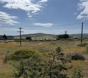 Residential 4000m<sup>2</sup> for sale photo 4
