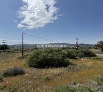Residential 4000m<sup>2</sup> for sale photo 5