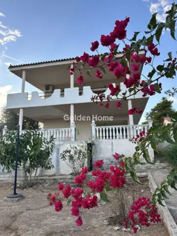 Μονοκατοικία 130τ.μ. προς πώληση φωτογραφία 33