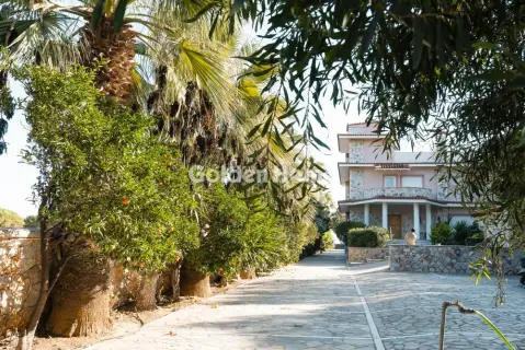 Golden Home Property Image