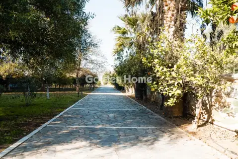 Golden Home Property Image