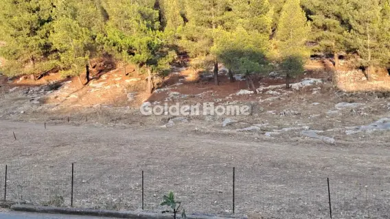 Residential 1242m<sup>2</sup> for sale photo 4947884