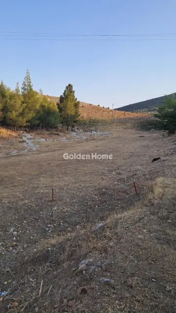 Residential 1242m<sup>2</sup> for sale photo 4947885