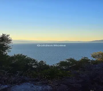 Οικιστικό 18000τ.μ. προς πώληση φωτογραφία 4996979