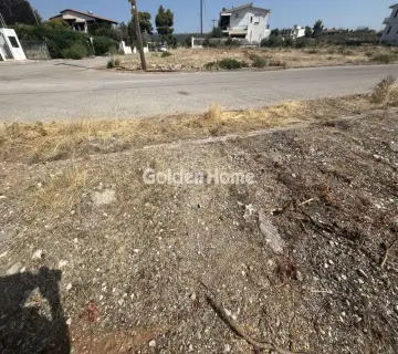 Οικιστικό 1028τ.μ. προς πώληση φωτογραφία 4948852