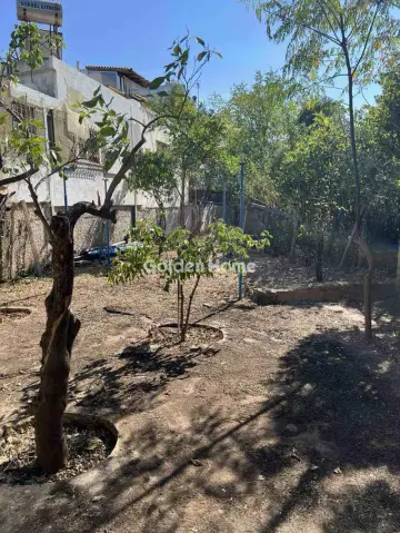 House 105m<sup>2</sup> for sale photo 23