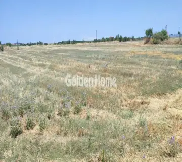Parcel 12168m<sup>2</sup> for sale photo 4
