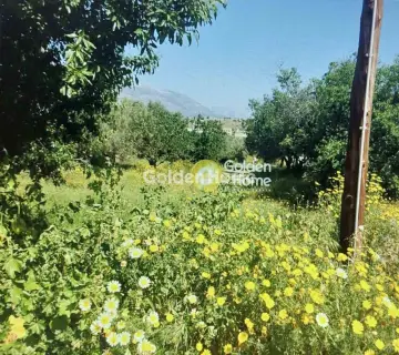 Residential 2160m<sup>2</sup> for sale photo 2