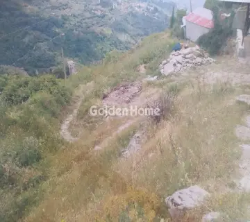 住宅 803m<sup>2</sup> for sale photo 4979611