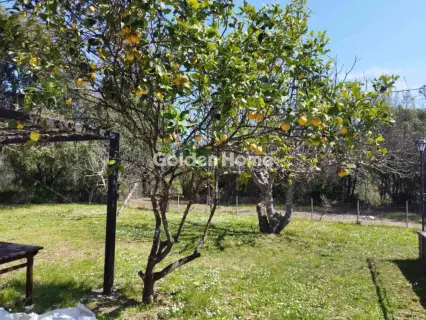 Μονοκατοικία 85τ.μ. προς πώληση φωτογραφία 5625652