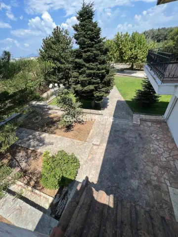 House 232m<sup>2</sup> for sale photo 2