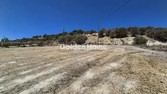 Residential 12000m<sup>2</sup> for sale photo 3