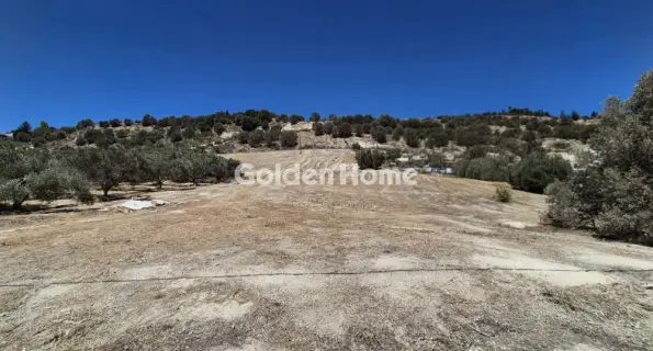 Residential 12000m<sup>2</sup> for sale photo 1