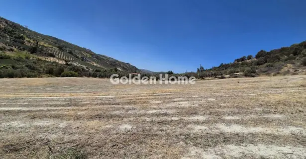 Residential 12000m<sup>2</sup> for sale photo 4