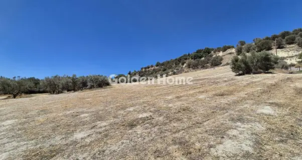 Residential 12000m<sup>2</sup> for sale photo 5