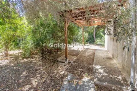 Μονοκατοικία 350τ.μ. προς πώληση φωτογραφία 44