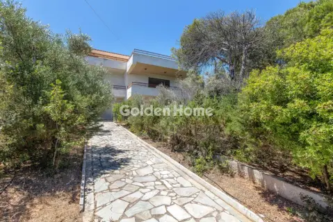 Μονοκατοικία 350τ.μ. προς πώληση φωτογραφία 37