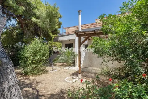 Μονοκατοικία 350τ.μ. προς πώληση φωτογραφία 46
