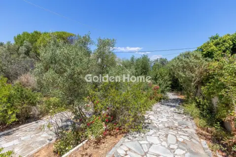 Μονοκατοικία 350τ.μ. προς πώληση φωτογραφία 39