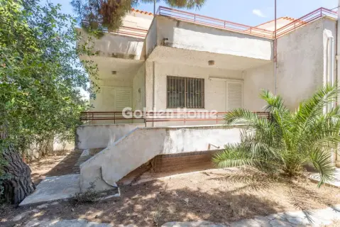 Μονοκατοικία 350τ.μ. προς πώληση φωτογραφία 45