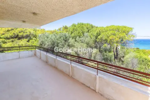 Μονοκατοικία 350τ.μ. προς πώληση φωτογραφία 5