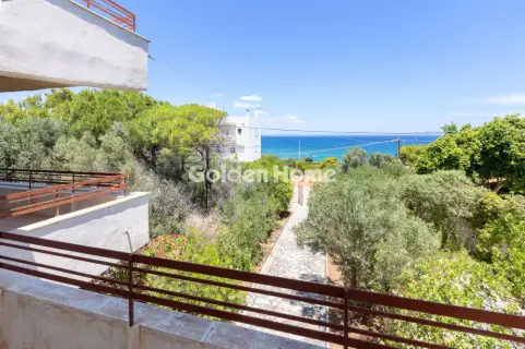 Μονοκατοικία 350τ.μ. προς πώληση φωτογραφία 16