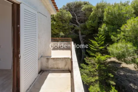 Μονοκατοικία 350τ.μ. προς πώληση φωτογραφία 30