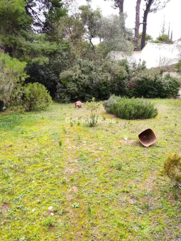 Διαμέρισμα 199τ.μ. προς πώληση φωτογραφία 5