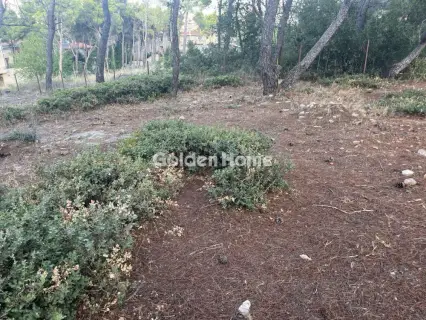 住宅 1000m<sup>2</sup> for sale photo 5