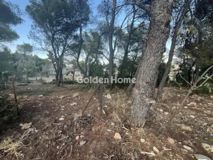 住宅 1000m<sup>2</sup> for sale photo 10
