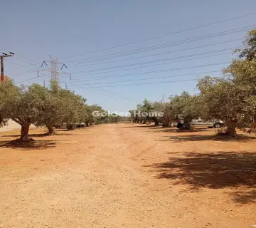 Professional Plot 2150m<sup>2</sup> for sale photo 4949963