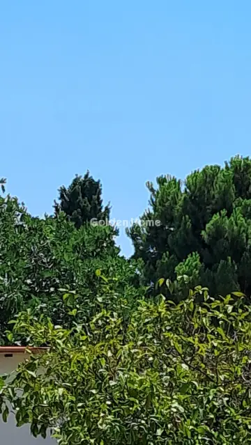 公寓 103m<sup>2</sup> for rent photo 21
