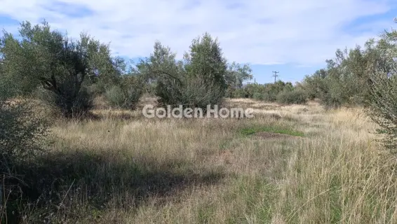 Parcel 2878m<sup>2</sup> for sale photo 5104921