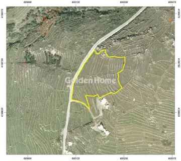 Residential 12000m<sup>2</sup> for sale photo 5012581