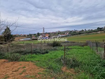 Αγροτεμάχιο 500τ.μ. προς πώληση φωτογραφία 4