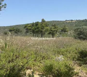 住宅 6500m<sup>2</sup> for sale photo 2
