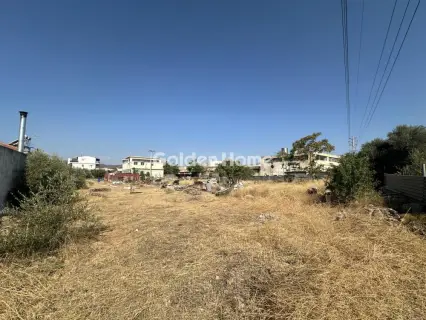 Independent Building 630m<sup>2</sup> for sale photo 3