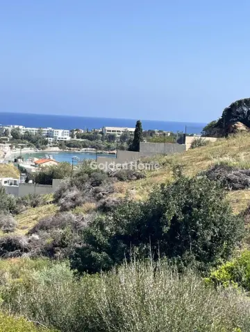 Οικιστικό 4180τ.μ. προς πώληση φωτογραφία 5400642
